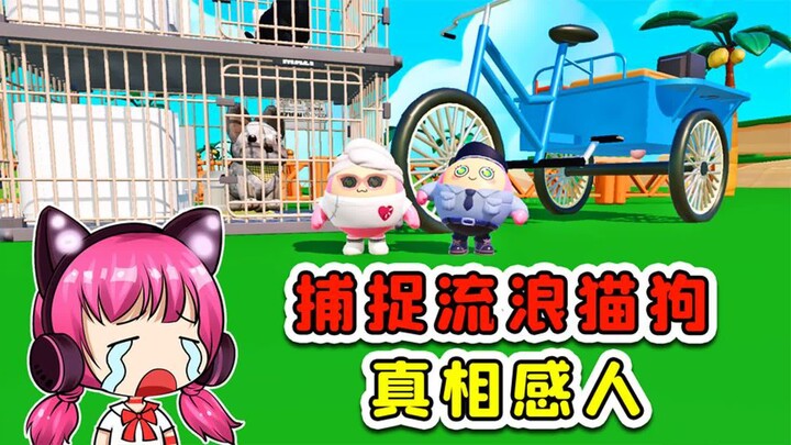 蛋仔派对：大批流浪猫狗被捉？知道真相的我，眼泪掉了下来！