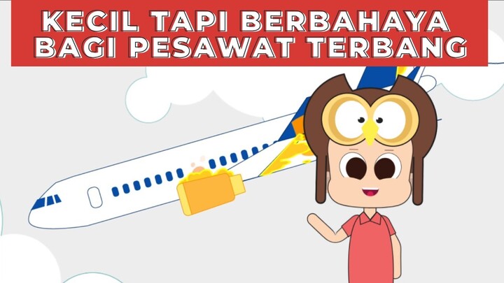 Pesawat Terbang vs Layang Layang