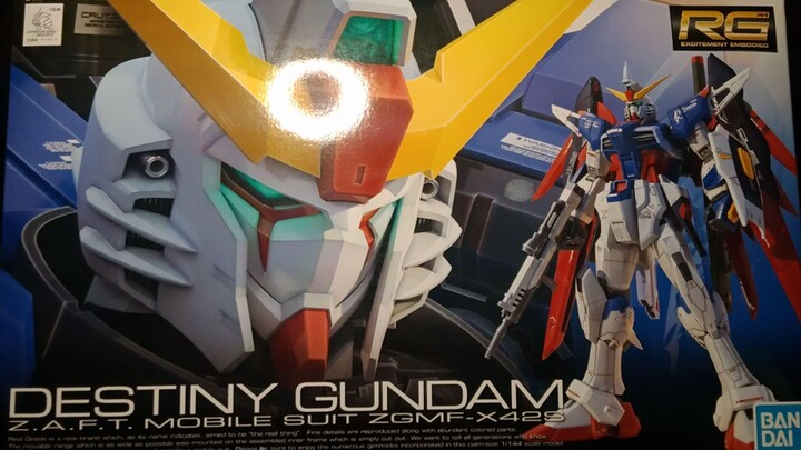 Destiny Gundam Z.A.F.T. Mobile Suit l RG