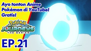 Pokémon Journeys: The Series | EP21 Merawat Telur Misteri! | Pokémon Indonesia