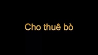 Cho thuê bò p1 #haihuoc