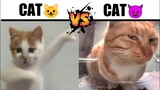 Cat🐱 or Cat😈...(Which side are you on?)