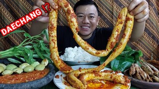 MUKBANG DAECHANG INDONESIA SUPER PEDAS SAMBEL MERCON + LALAPAN JENGKOL MENTAH + SAMBEL TERASI