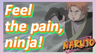 Feel the pain, ninja!