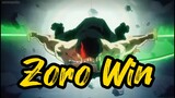 The intense match between king and zoro