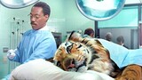 A Doctor Can Talk To Animals , But No One Believes | Movie Story Recapped