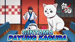 Gintama Klip
Yorozuya Kelaparan