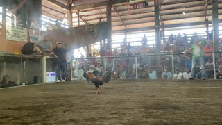 2Hits Ulutan- 1st Fight WIN using LEMON
