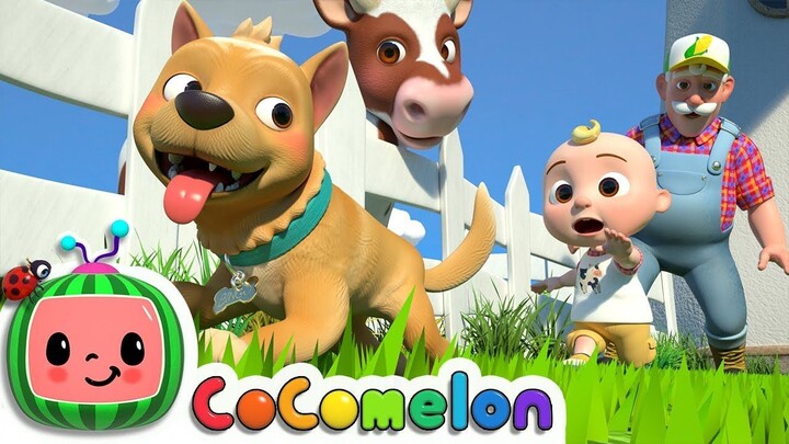 Bingo (Farm Version) CoComelon Nursery Rhymes & Kids Songs