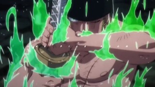 Bagi Zoro, Luffy dan yang lainnya bukanlah satu-satunya "mitra"!