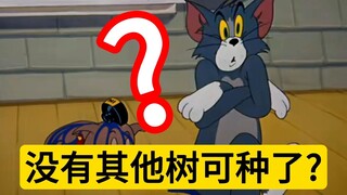 当学校石楠花开花时