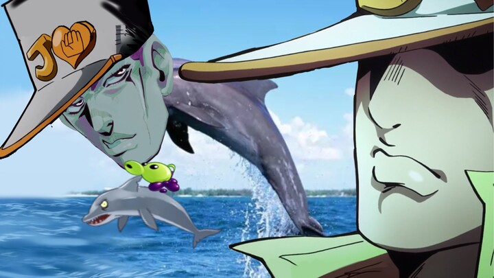 Dolphin Rohan