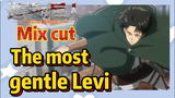 [Attack on Titan]  Mix Cut |The most gentle Levi