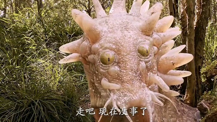 核辐射变异的蜗牛比人还要大
