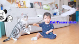 Khi em bé học được cách trêu mèo khiến mèo phát điên!