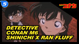 M6 Shinichi x Ran Fluff | Detective Conan Edit_5
