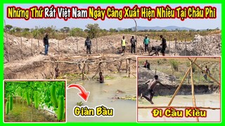 Linh Philip || Những Nét Việt Nam Ngày Càng Xuất Hiện Rõ Rệt Tại Châu Phi