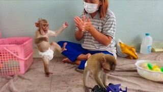 Wow, Yaya walking to play with Toto so adorable style