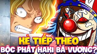 ĐÂU SẼ LÀ KẺ TIẾP THEO SỠ HỮU HAKI BÁ VƯƠNG?!