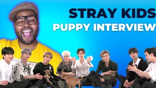 Too Adorable 🥹 | Stray Kids’ Puppy Interview with Buzzfeed | REACTION