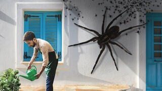 Sẽ Ra Sao Nếu Đàn Nhện Khổng Lồ Chiếm Lấy Thành Phố Của Bạn?