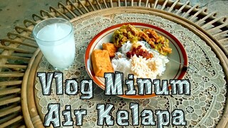 🌴 Air Kelapa Muda: Minuman Segar yang Menyegarkan Jiwa!