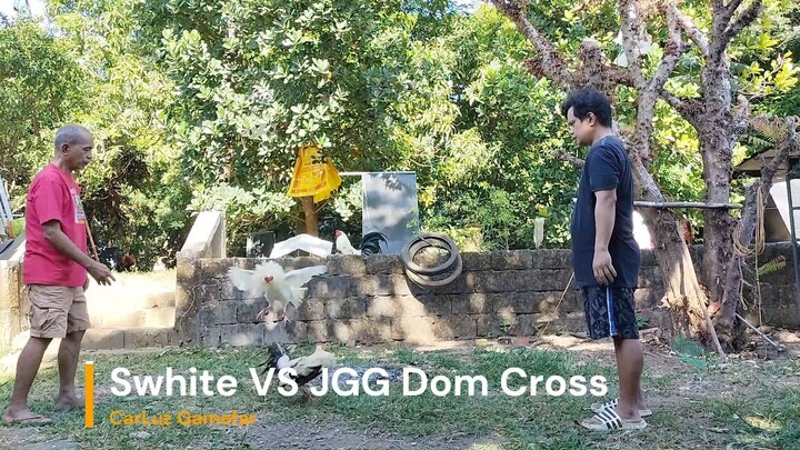 Swhite VS JGG Dom Cross P1