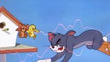 [Tom and Jerry] Tempat gila Tom dan DJ Jerry yang tak tahu malu no.5