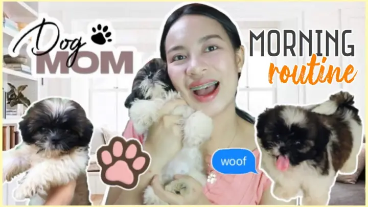 MORNING ROUTINE WITH MY DOG | MORNING ROUTINE WITH MY SHIH TZU