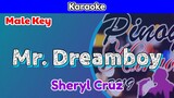 Mr. Dreamboy by Sheryl Cruz (Karaoke : Male Key)
