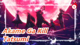 Akame Ga Kill| In the final battle, shout it Tatsumi, with your hot soul!!!_1