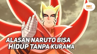 INILAH ALASAN KENAPA NARUTO BISA HIDUP TANPA KURAMA !