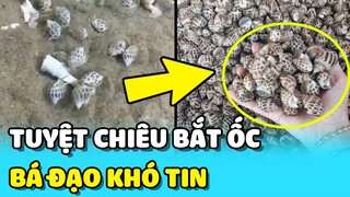 💥Ngỡ ngàng với TUYỆT CHIÊU bắt ốc hương BÁ ĐẠO vừa nhanh vừa đơn giản  | TIN GIẢI TRÍ