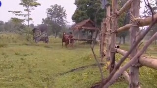 บางระจัน