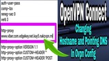 OpenVPN Connect - Changing Hostname and Pointing DNS In Ovpn Config