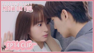EP14 Clip | So close! He dares to kiss Zhou Tian! | Accidentally Meow On You | 一不小心喵上你 | ENG SUB