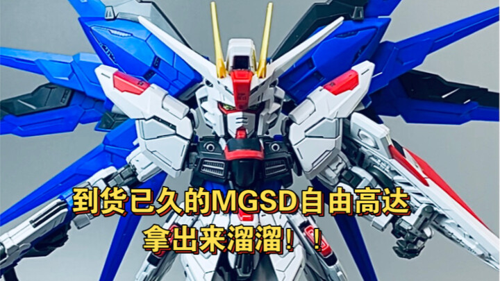 Inilah Gundam yang tampan dan imut! ! Gundam Kebebasan MGSD! ! !