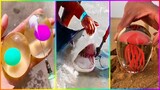 Catching Seafood 🦀 ASMR Relaxing (Catch Shark , Catch Fish ,Deep Sea Monster ) #583