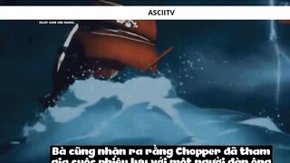 Top 7 Người Có _Ý Chí Của D_ Trong One Piece #24 1