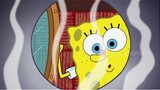 SpongeBob | SpongeBob SquarePants memiliki CELANA BULAT?! | Nickelodeon Bahasa