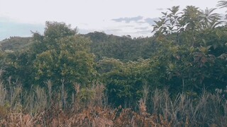Buhay magsasaka👍👍👍