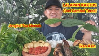 MUKBANG KAKTUS  + LALAPAN JENGKOL MENTAH + IKAN ASIN + SAMBAL TERASI + PECEL LELE #mukbangjengkol