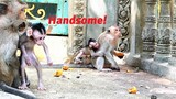 Wow How Cute These Babies Are! Animal Monkey Babies Look So Attractions