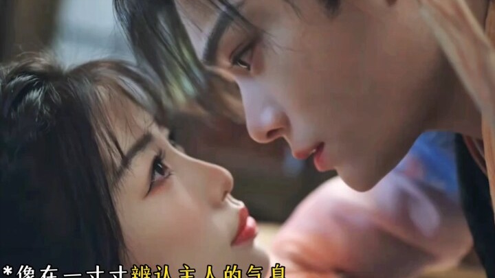 这还不吃嘴子么😘
