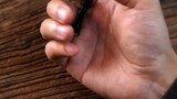 Possibly the smallest flashlight in the world! ?