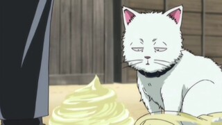 [Gintama] Hijikata tốt bụng đưa sốt mayonnaise của mình cho Gin, người đã biến thành mèo