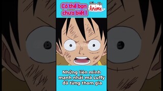 Những liên minh mạnh nhất mà luffy đã tham gia #onepiece #short