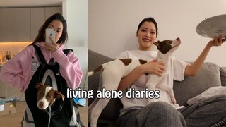 Living Alone Diaries | Adopting a puppy & dog mom life, Apartment hunting process, Life companion