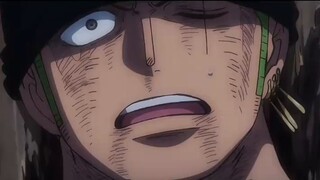 "Zoro's Fateful Encounter"