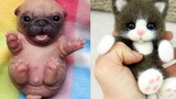 Cute baby animals Videos Compilation cute moment of the animals - Cutest Animals 14